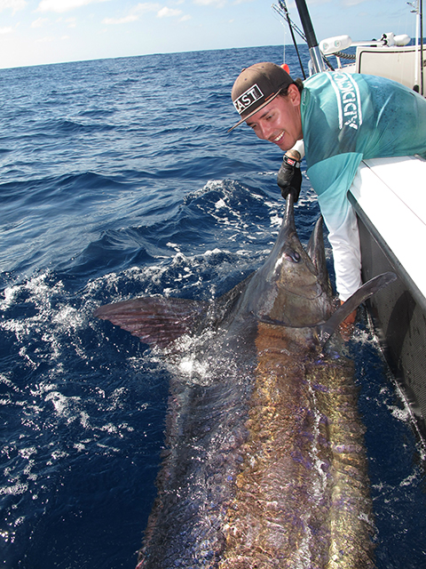 ANGLER: Ben Coombes SPECIES: Blue Marlin
WEIGHT: Est. 280kg LURE: 10" JB Lures Dingo
